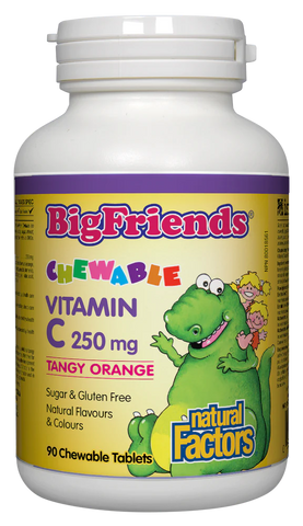 Natural Factors Chewable Vitamin C 250 mg, Tangy Orange, Big Friends, 90 Chewable Tabs